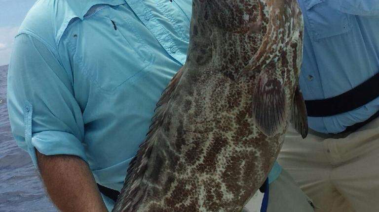 Summer Fishing in the Keys 2014