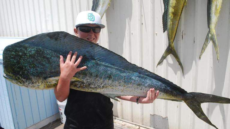 Massive Mahi