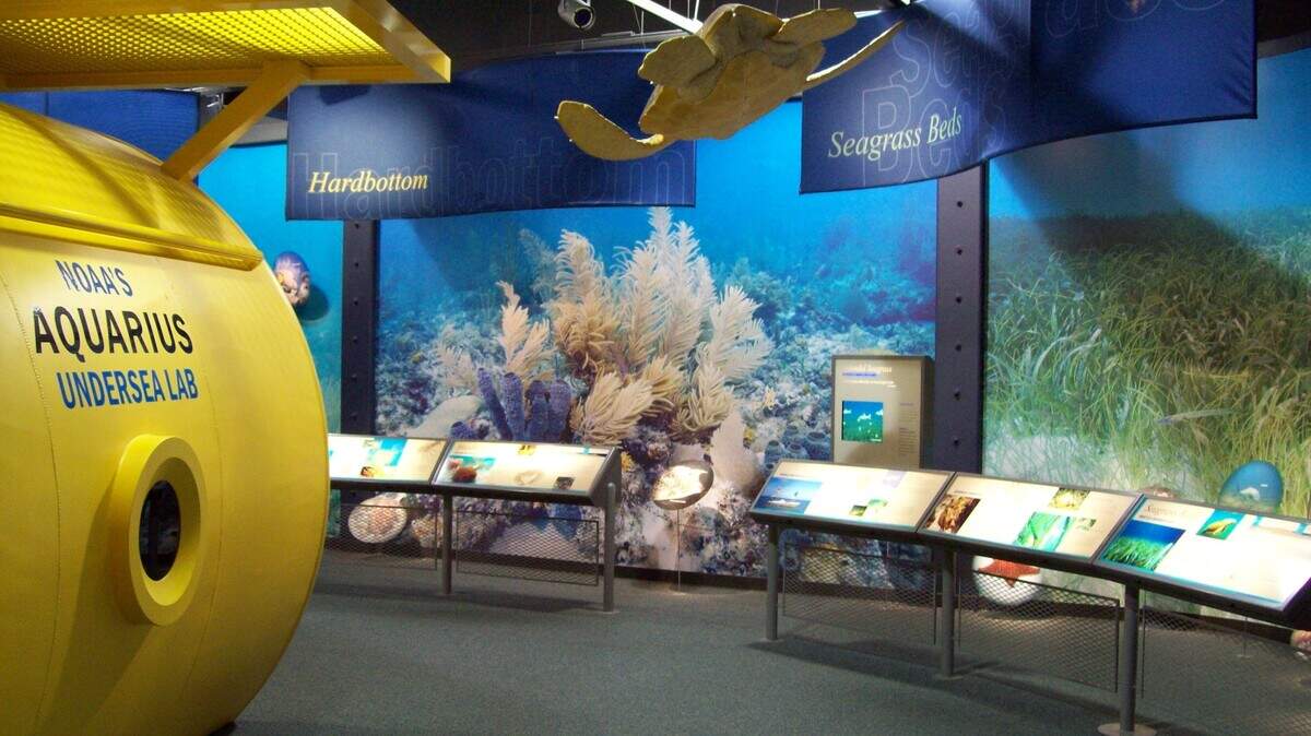 Florida Keys Eco-Discovery Center has more than 6,000 square feet of interactive exhibits.