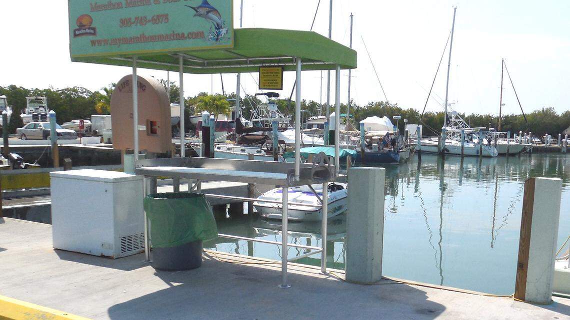 This is the Marathon Boatyard and Marina. Dennis Zecca, who pleaded guilty to murder for hire in 2014, was a part-owner.