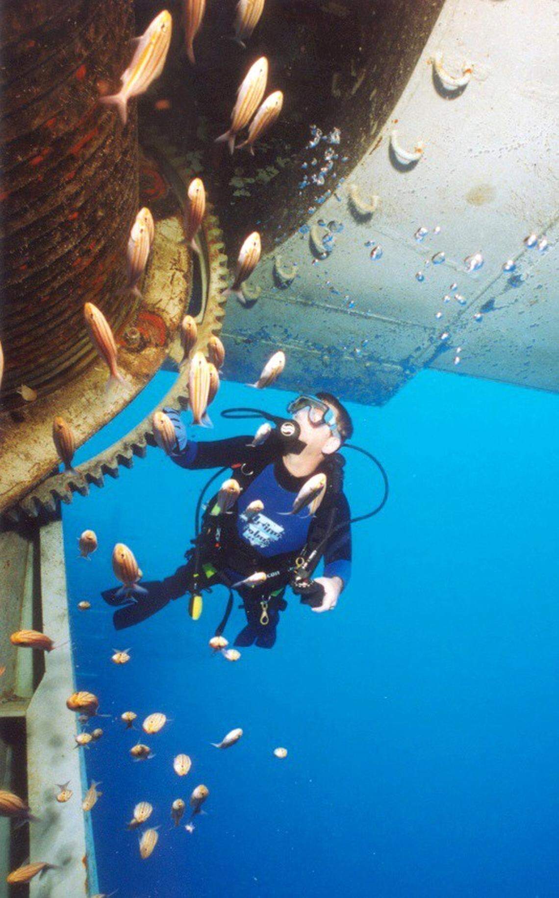 A diver checks out the 510-foot ‘Spiegel Grove’ a few days after it was scuttled in 2002. It sits in around 100 feet of water.