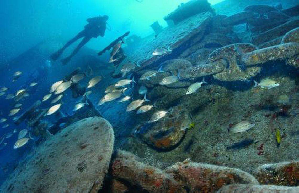 A diver swims past a school of grunt while exploring the forward deck of the ‘Spiegel Grove’ shipwreck off Key Largo. The wreck, intentionally scuttled in 2002, has become home to numerous fish species.