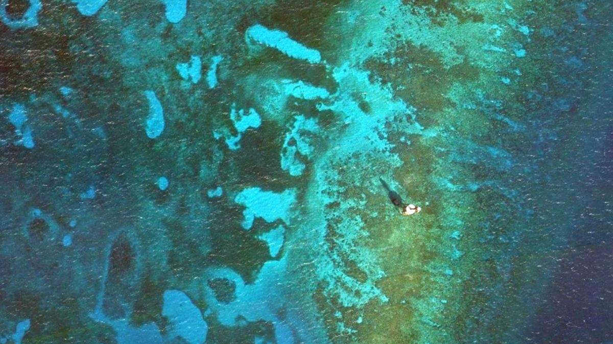 A satellite view shows the Carysfort Reef Light, just right of  center, surrounded by an abundance of coral on a broad reef tract.