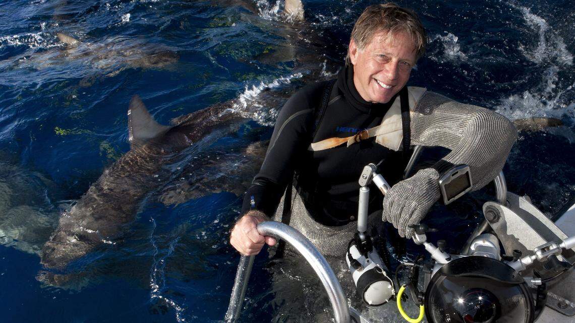 Underwater photographer Stephen Frink emerges from the water surrounded by sharks.