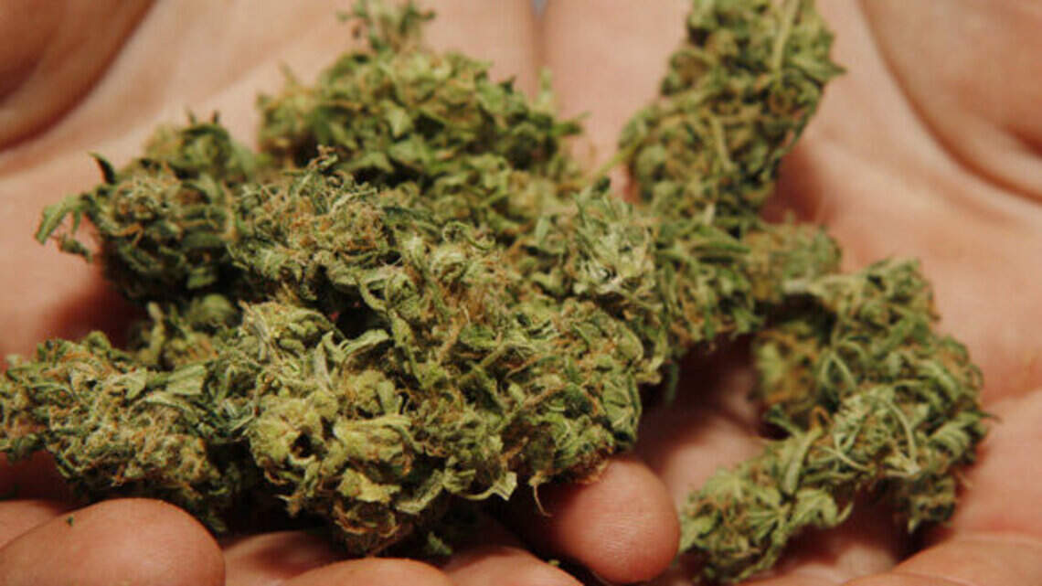 Florida Senate lawyers using new law as argument against recreational pot amendment