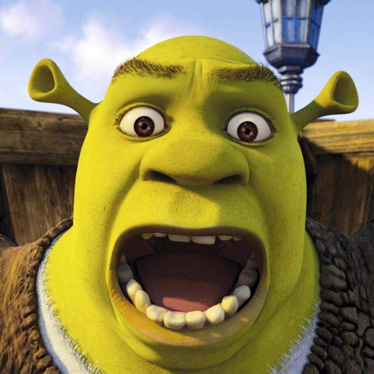 This is the ogre Shrek, who falls in love with Princess Fiona.