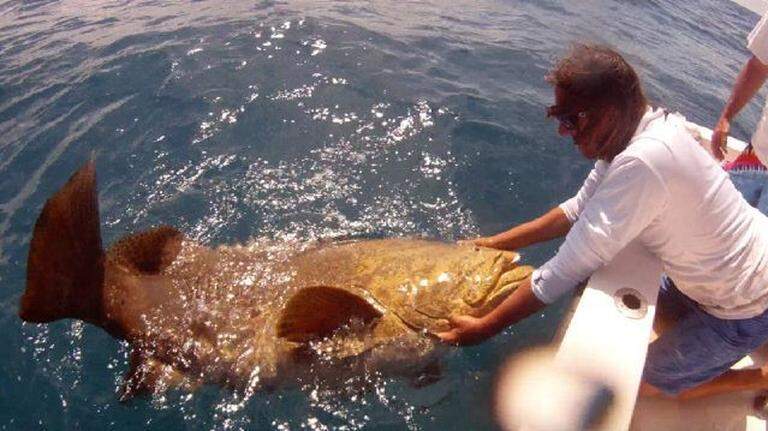 Winter Fishing in the Keys -- 2015