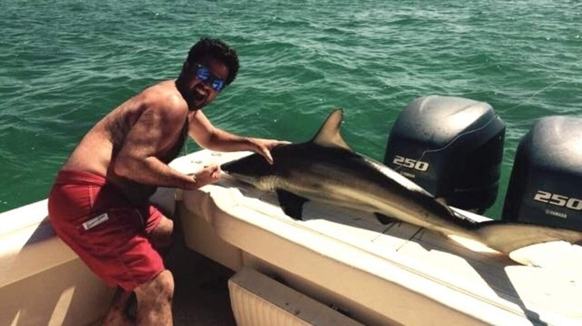 Pat Reilly from Avon, N.J., shows one of the blacknose sharks he landed during his family's outing with SeaSquared Charters. The shark was released unharmed.