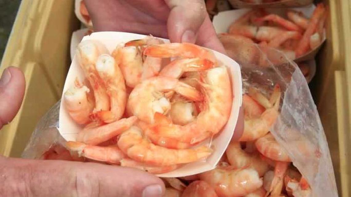 Key West pink shrimp is a festival favorite and local delicacy.