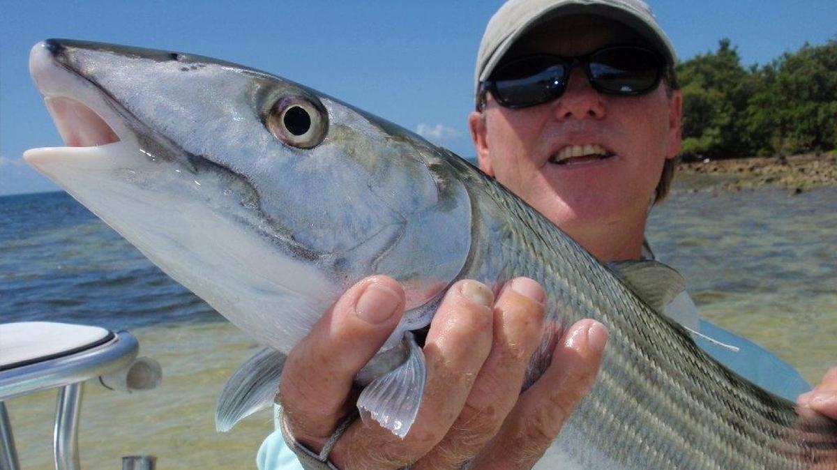 Jennifer Rehage, fish ecologist and associate professor at Florida International University, has been studying how changes to the hydrology of the Everglades affect fish.