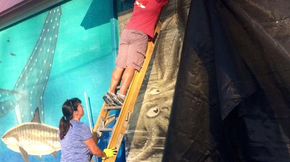 Volunteers remove tarps and plywood from the History of Diving Museum in Islamorada after Hurricane Irma passed Sept. 10 and 11.