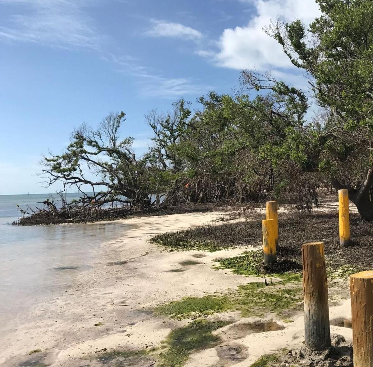 A boardwalk in the wooded portion of Anne’s Beach, mile marker 73.5, was once visible from the shore. It was destroyed during Hurricane Irma, Sept. 10, 2017.