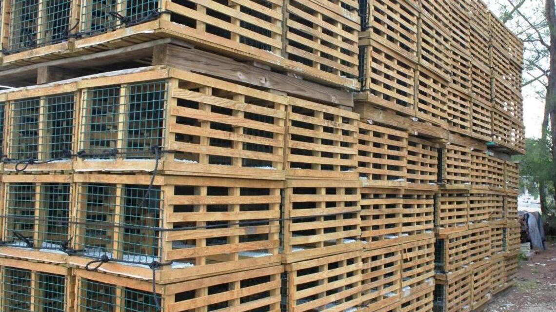 FWC arrests 3 men accused of stealing from commercial lobster traps in Keys