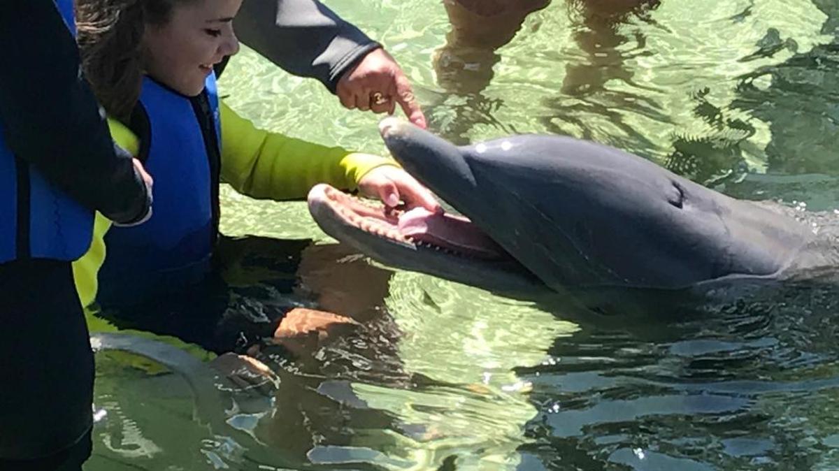 Brynlie Rake, an 11-year-old girl from Wisconsin, gets face to face with Leo the bottlenose dolphin at Dolphins Plus Bayside March 14.