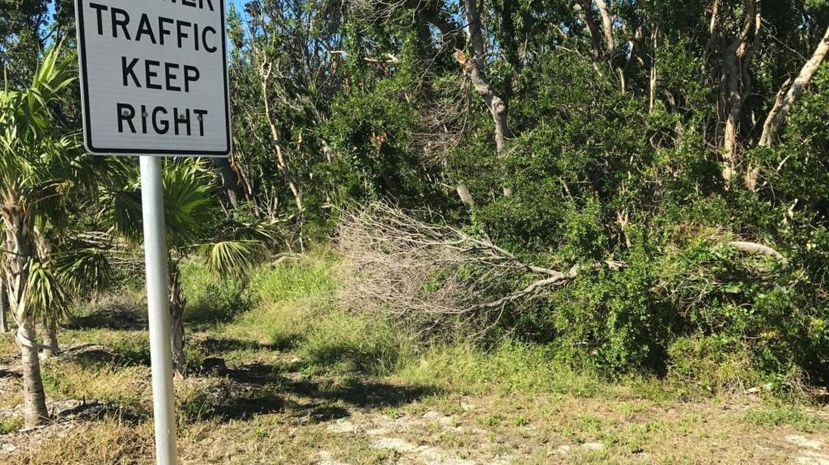 This is the wooded area where prosecutors say John Lee Hayes raped, brutally beat and robbed a woman who was walking on her way to meet friends at a Tavernier bar on March 13, 2016.