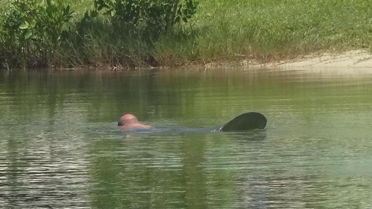 A man seen illegally cavorting with protected manatees in Islamorada remains in jail after refusing to cooperate with law-enforcement officers.