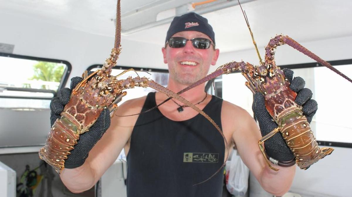 Spiny lobster are a mainstay for the Florida Keys commercial fishing industry.