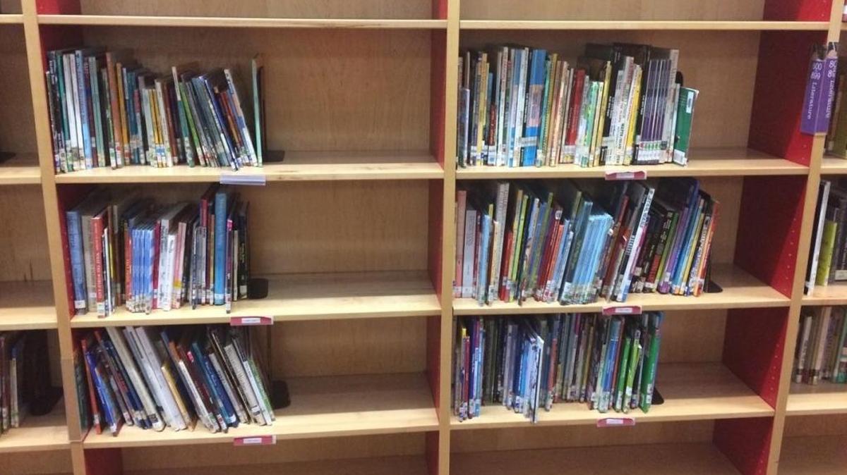 Now, anyone may question instructional materials at a public school including books on the library shelves.