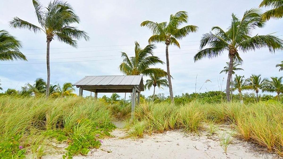 This is the area where the dead man was found.