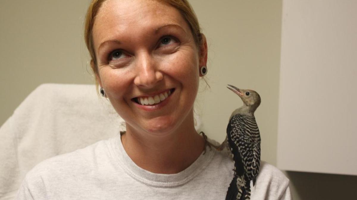 The life of Amanda Margraves, former rehabilitator at the Florida Keys Wild Bird Center, will be celebrated at a Saturday gathering on Key Largo.