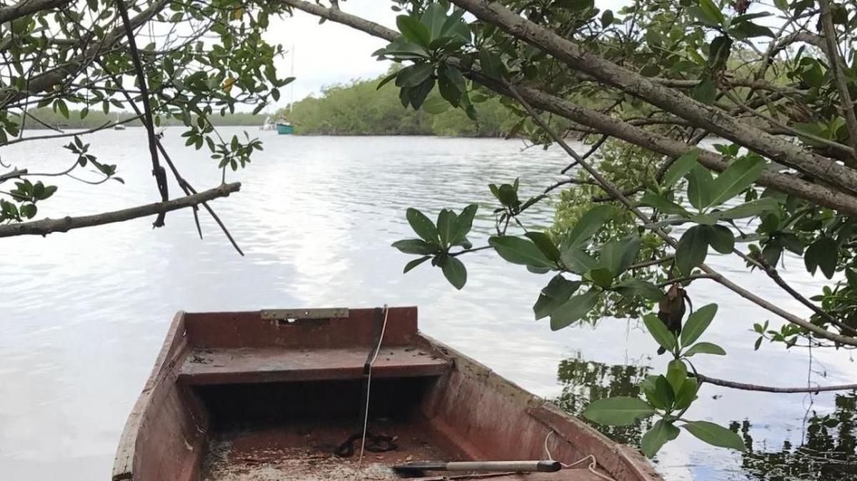 A rowboat sits in the mangroves behind the Murray E. Nelson Government and Cultural Arts Center at mile marker 102 in Key Largo. The boat is used by people living on larger vessels offshore. Police in November 2017 raided a liveaboard vessel last week while investigating the Oct. 21 murder of a Key Largo woman.