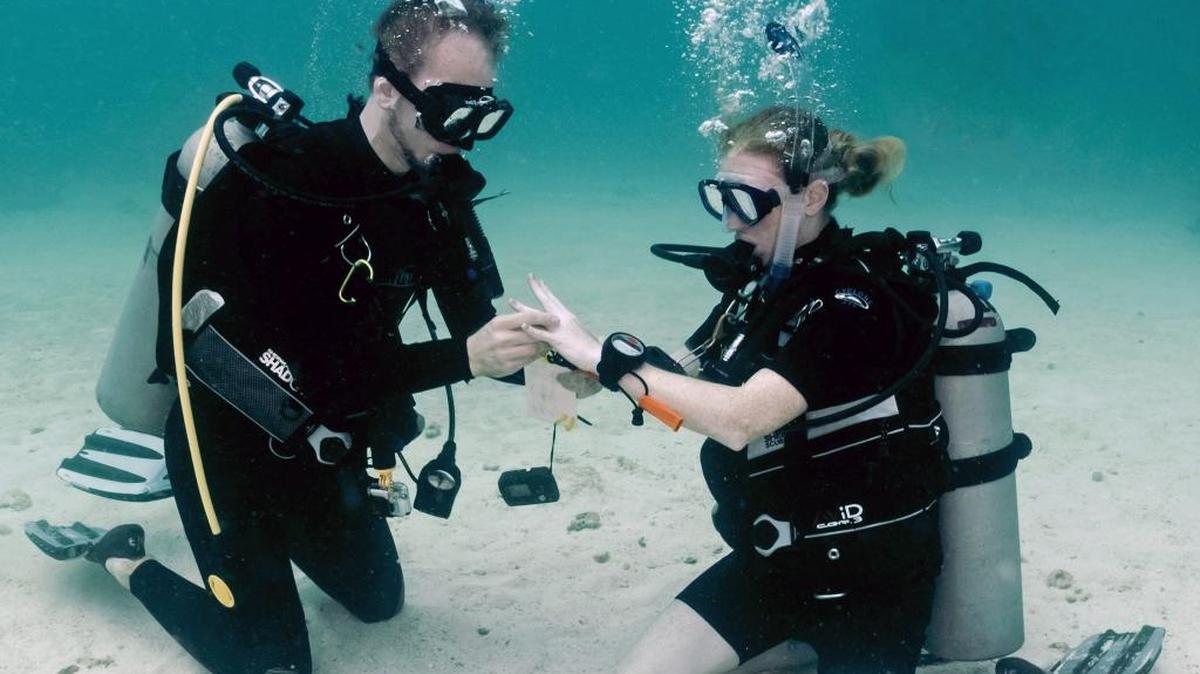 Sven Krasser proposes to his girlfriend Shannon Statham on Pleasure Reef off Key Largo on July 4.