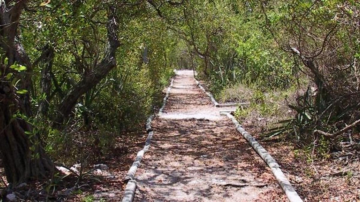 Indian Key State Park officially reopened for visitors Monday. Most of the Florida Keys state parks now are open for day use but the parks’ campgrounds are still undergoing repairs after Hurricane Irma.