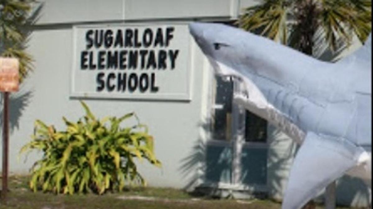 The Monroe County School Board wants to build 10 to 20 affordable homes behind the public school on Sugarloaf Key.