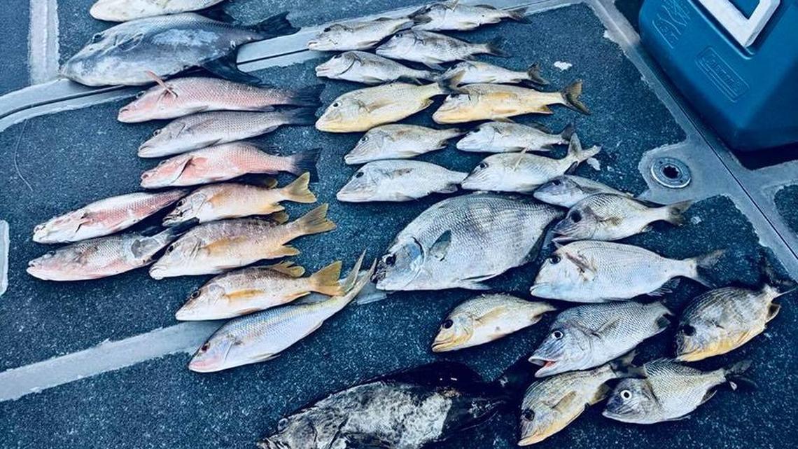 Dead snapper, chub and other reef fish line the deck of a U.S. Coast Guard patrol boat after anglers were caught fishing in the off-limits Carysfort Sanctuary Preservation Area.