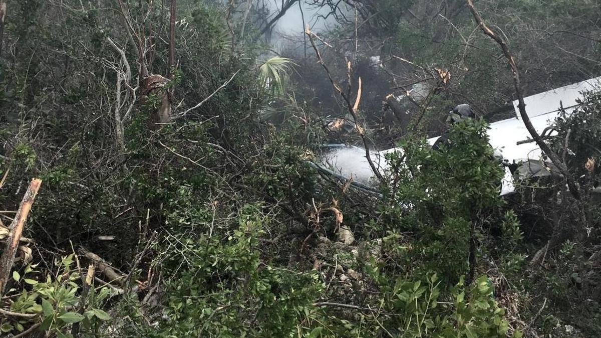 The wreckage of the airplane sits in a wood area shortly after the aircraft went down.