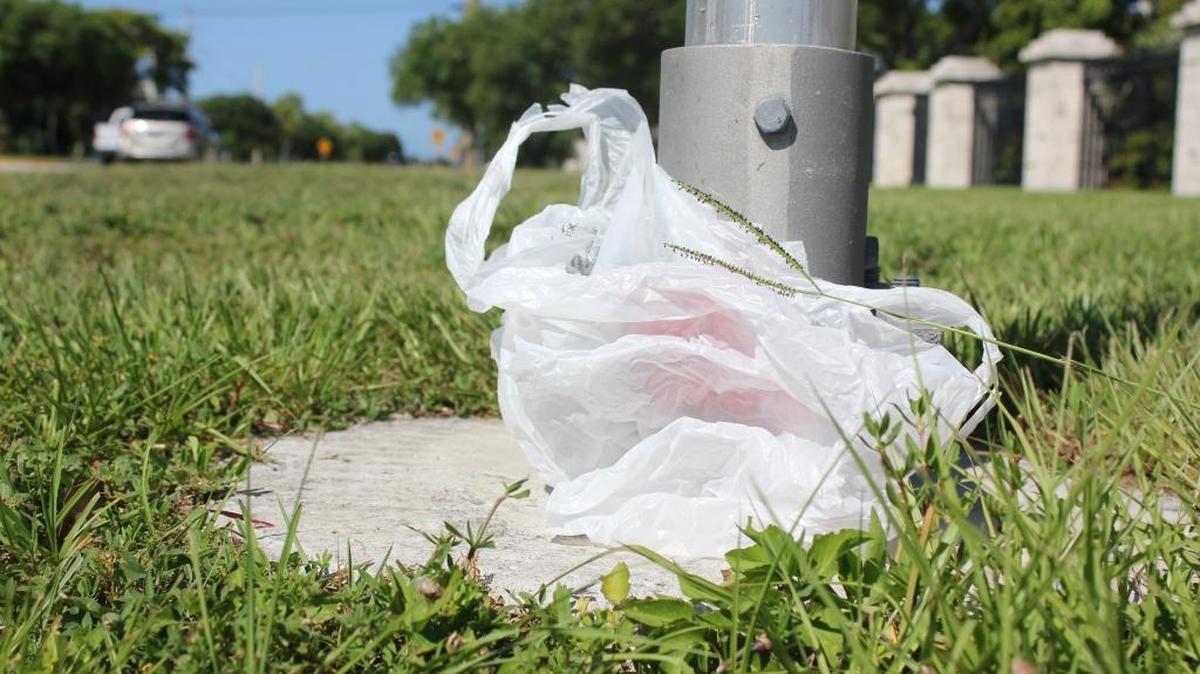 A bill to allow local rules on disposable plastic bags, endorsed by the Monroe County Commission, failed in the Florida Legislature’s 2017 session.
