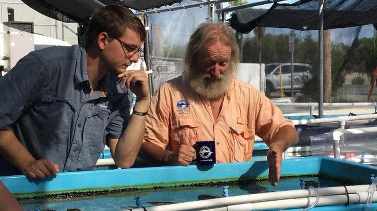 Zack Rago (left) and Dr. David Vaughan, executive director of Mote’s Summerland Key center, check out some of the coral nursery.