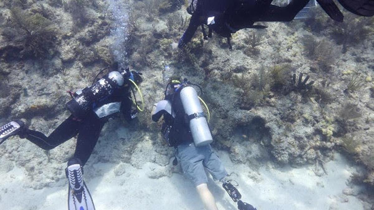 Members of the Combat Wounded Veteran Challenge work with Mote scientists and SCUBAnauts youths help restore a reef in the Florida Keys.