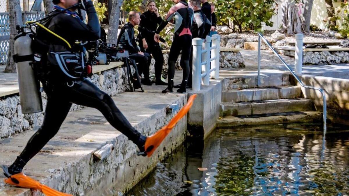 Kevin McDonel demonstrates a giant stride entry at Jules Lagoon.