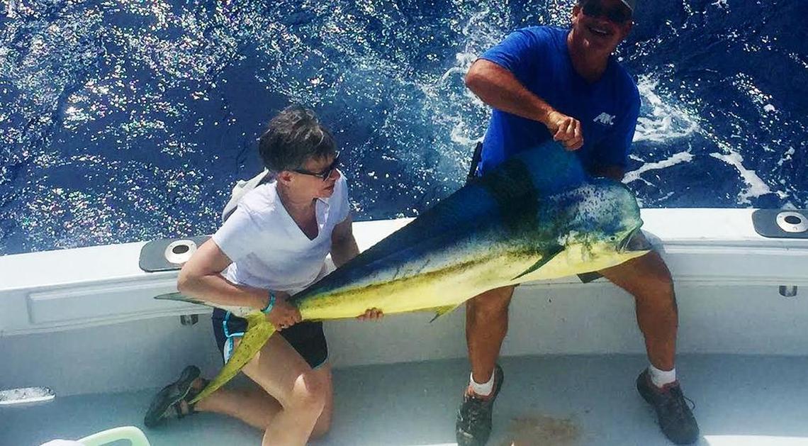 Large mahi like this one, caught on the Reef Runner docked at Whale Harbor Marina in Islamorada, were common during the summer of 2017. Charter boat captains say they are rare this year because of commercial fishing industry longliners.