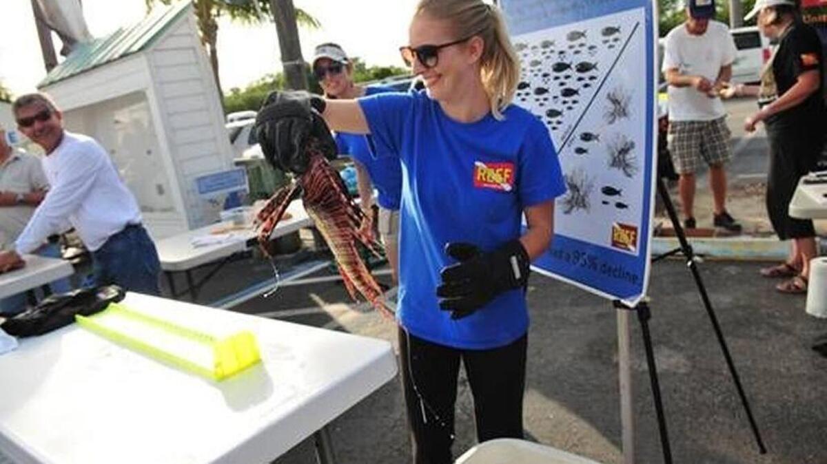 REEF Invasive Species Specialist, Emily Stokes, scores a lionfish brought in for last year’s Winter Derby.